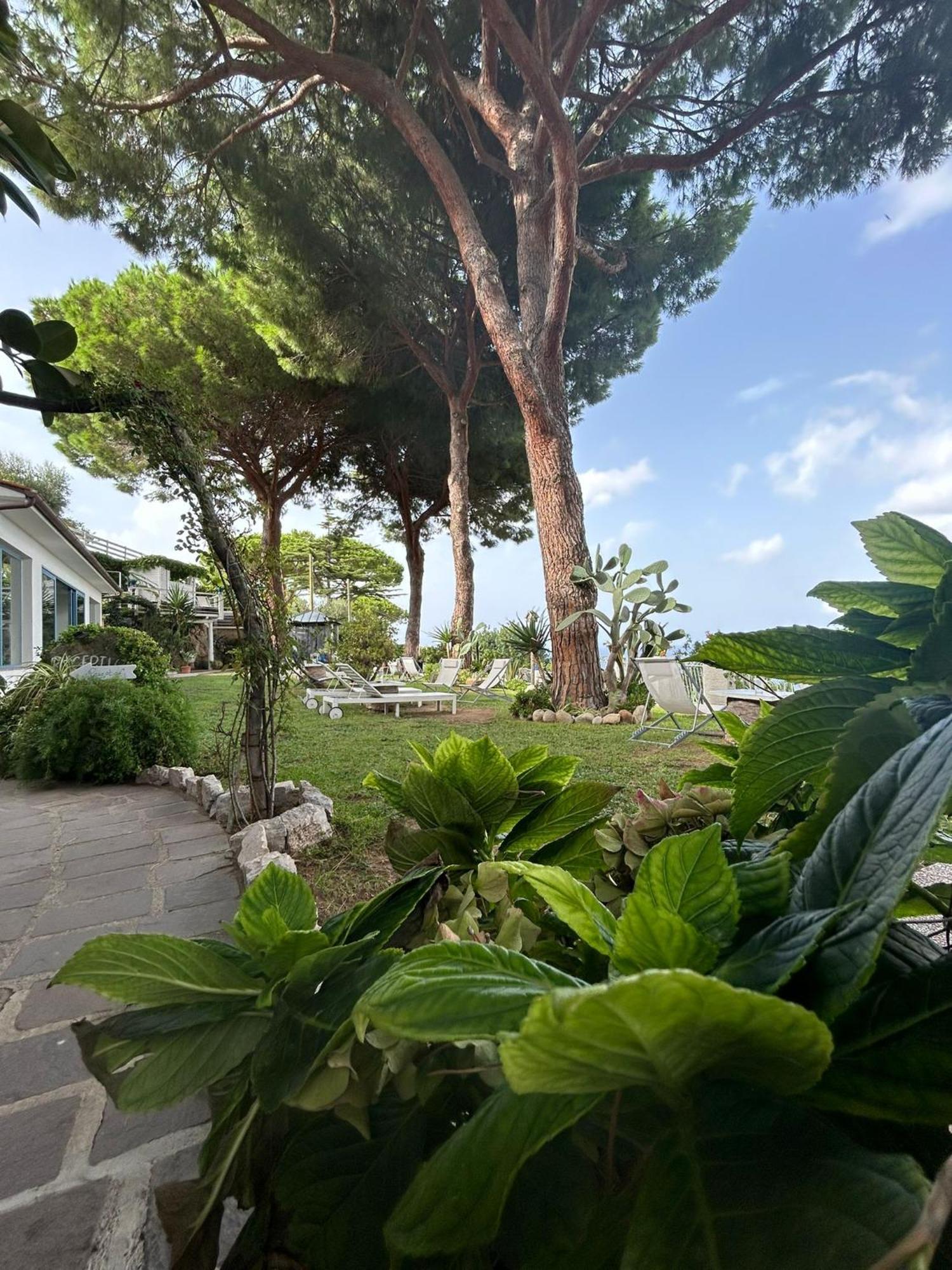 Hotel Sant'Andrea Hotel